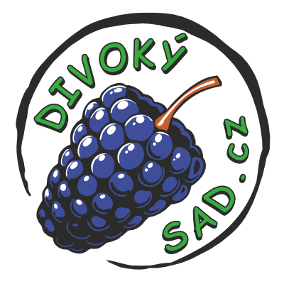 Divoký sad